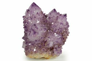 Deep-Purple Cactus Amethyst Crystal Cluster - South Africa #364608