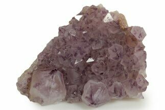 Deep-Purple Cactus Amethyst Crystal Cluster - South Africa #364611