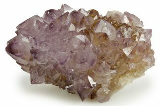 Deep-Purple Cactus Amethyst Crystal Cluster - South Africa #364614