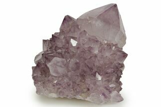 Deep-Purple Cactus Amethyst Crystal Cluster - South Africa #364616