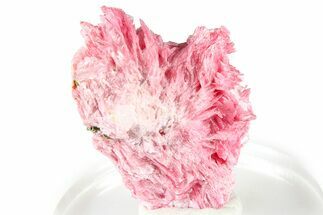 Light Pink Rhodonite with Pyrite - Peru #363132