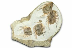 2.15