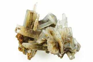 Sharp Bladed Blue Barite Cluster with Limonite - Morocco #365637