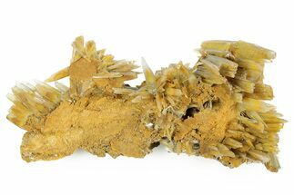 Sharp Bladed Blue Barite Cluster with Limonite - Morocco #365663