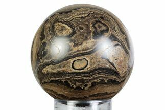 Polished Stromatolite (Greysonia) Sphere - Bolivia #363462
