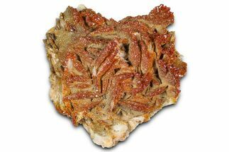 Glittering Ruby Red Vanadinite Crystals on Barite - Morocco #365787