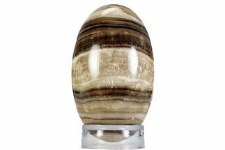 Swirling Polished Chocolate Calcite Egg - Pakistan #365821