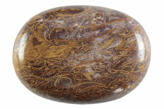 Polished Miriam Stone Palm Stone - India #365875
