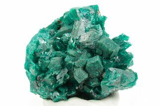 Emerald-Green Dioptase Crystal Cluster - Congo #366004