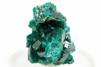 Emerald-Green Dioptase Crystal Cluster - Congo #366008