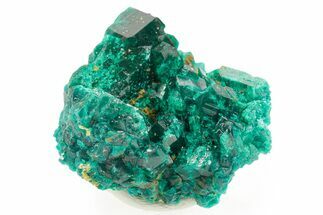 Emerald-Green Dioptase Crystal Cluster - Congo #366009