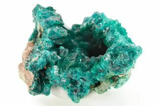 Emerald-Green Dioptase Crystal Cluster - Congo #366013