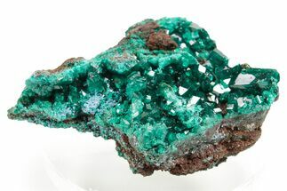 Gemmy Dioptase Crystal Cluster with Plancheite - Congo #366019
