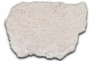 Pink Halite Crystal Cluster - Trona, California #347183
