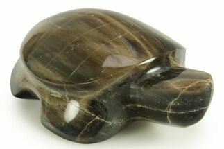 Polished Petrified Wood (Sycamore) Turtle - Nevada #366291