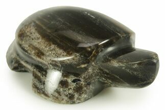 Polished Petrified Wood (Sycamore) Turtle - Nevada #366309