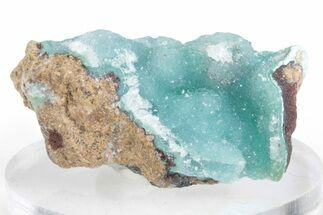Sparkling Druzy Quartz on Chrysocolla - DR Congo #366161