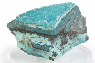Sparkling Druzy Quartz on Chrysocolla - DR Congo #366182