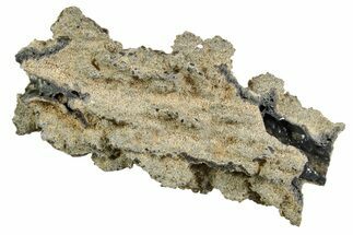 Fulgurite - Petrified Lightning #366349
