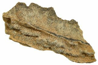Fulgurite - Petrified Lightning #366366