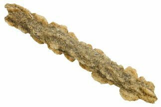 Fulgurite - Petrified Lightning #366376