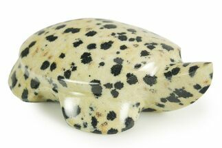 Carved Dalmatian Stone Turtle - Mexico #366181