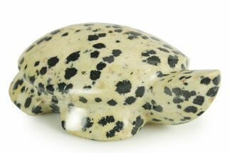 Carved Dalmatian Stone Turtle - Mexico #366187