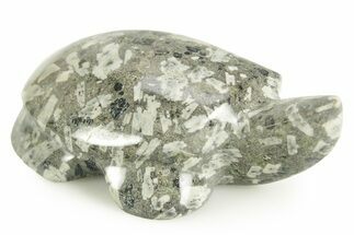 Polished Chinese Writing Rock Turtle - Utah #366757