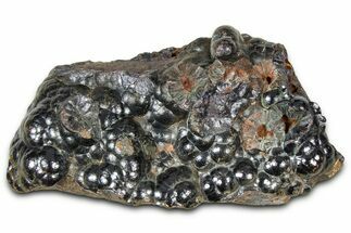 Kidney Ore (Botryoidal Hematite) - Morocco #367203