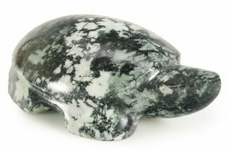Carved Chinese Writing Rock Turtle - BC Canada #366965