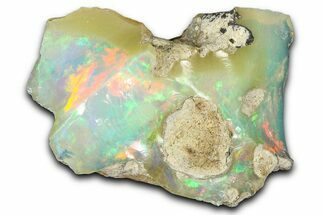 Brilliant Precious Ethiopian Fire Opal ( grams) #367268