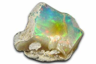 Brilliant Precious Ethiopian Fire Opal ( grams) #367312