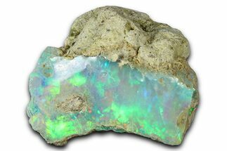 Brilliant Precious Ethiopian Fire Opal ( grams) #367328