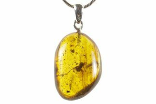 Polished Baltic Amber Pendant (Necklace) - Contains Ant! #367353