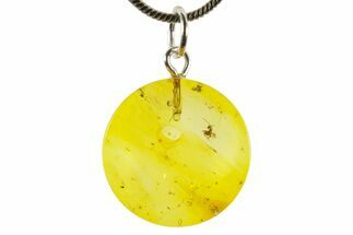Polished Baltic Amber Pendant (Necklace) - Contains Ant! #367354