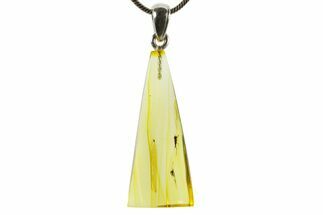 Polished Baltic Amber Pendant (Necklace) - Contains Flies! #367358
