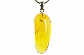 Polished Baltic Amber Pendant (Necklace) - Contains Flies! #367376