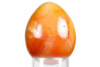 Vibrant Polished Carnelian Agate Egg - Madagascar #355514