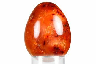 Vibrant Polished Carnelian Agate Egg - Madagascar #355524