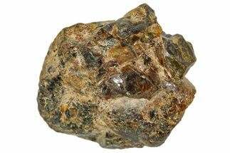 Pallasite Meteorite ( g) - NWA #367761