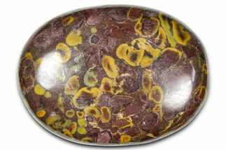 Polished Fruit Jasper Palm Stone - India #342253