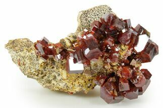 Deep Red Vanadinite Crystal Cluster - Large Crystals #368106
