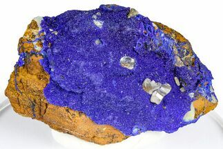 Cerussite Crystals on Sparkling Azurite - Congo #368228