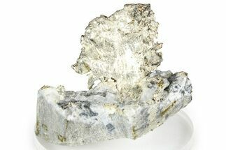 Native Silver in Calcite - Morocco #368323