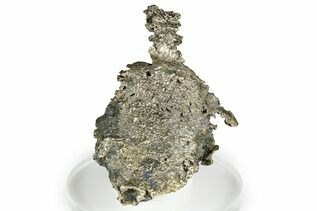 Buy Native Silver