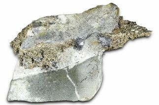 Native Silver in Matrix - Morocco #368331
