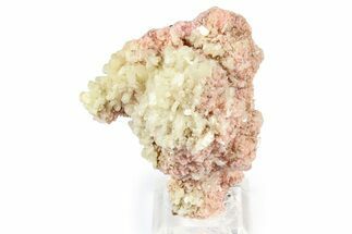 Sparkling Stilbite Crystals on Rhodochrosite Rosettes - Bulgaria #368698