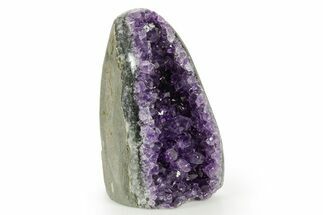 Free-Standing Amethyst Crystal Cluster - Uruguay #368275
