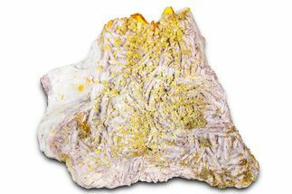 Yellow-Orange Vanadinite & Wulfenite Crystal Cluster - Arizona #368917