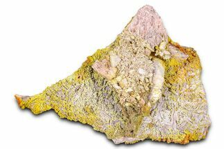 Yellow-Orange Vanadinite & Wulfenite Crystal Cluster - Arizona #368920